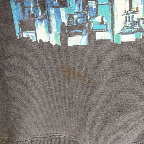 セントマイケル SAINT MICHAEL GS_CRW-N SWT/GST IN THE S メンズ import:M